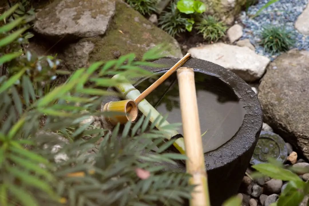 ＼ 洗練された空間でお食事を／