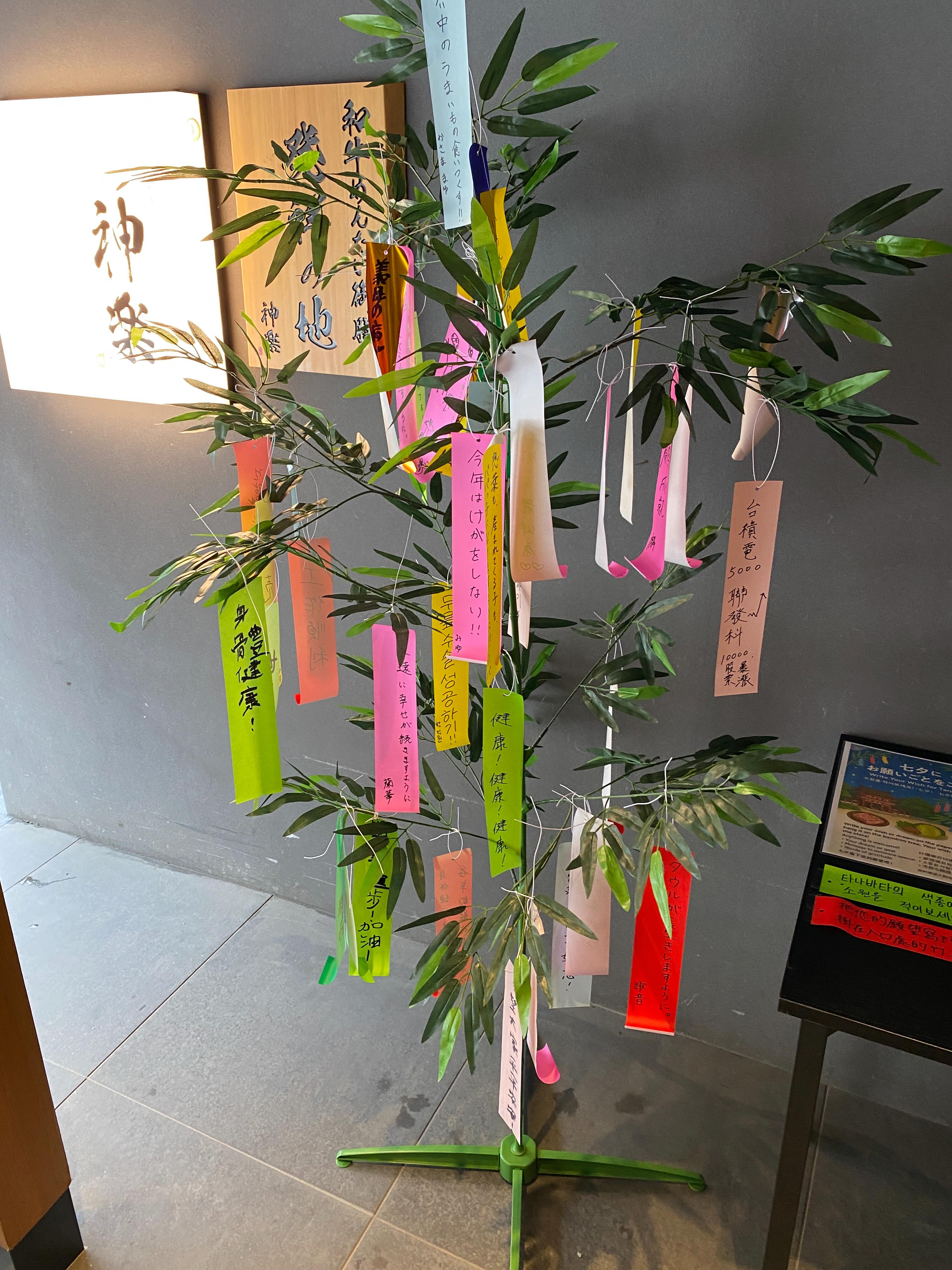 こんにちは！7月に入りましたが、ジメジメした日が続きますね