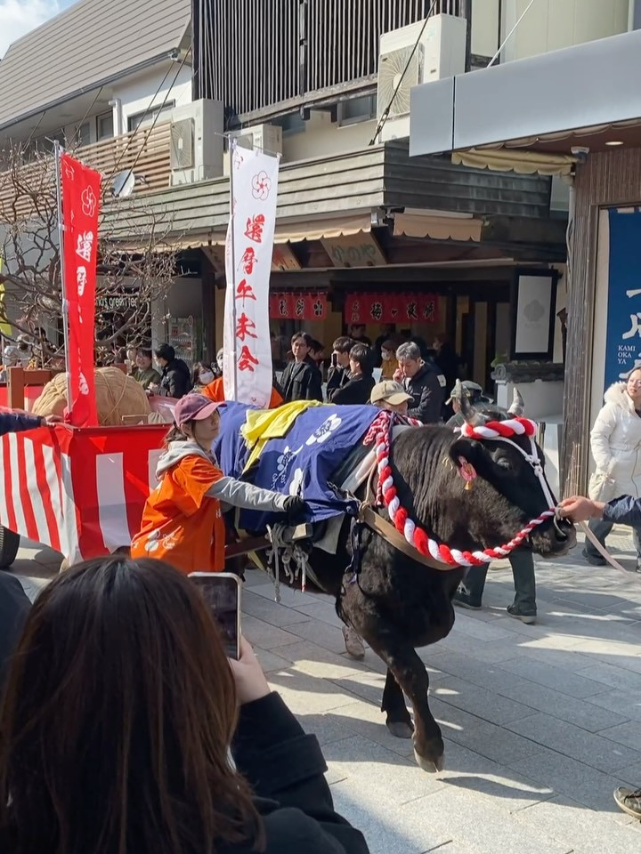 本日は太宰府市の伝統行事 梅上げ が執り行われました