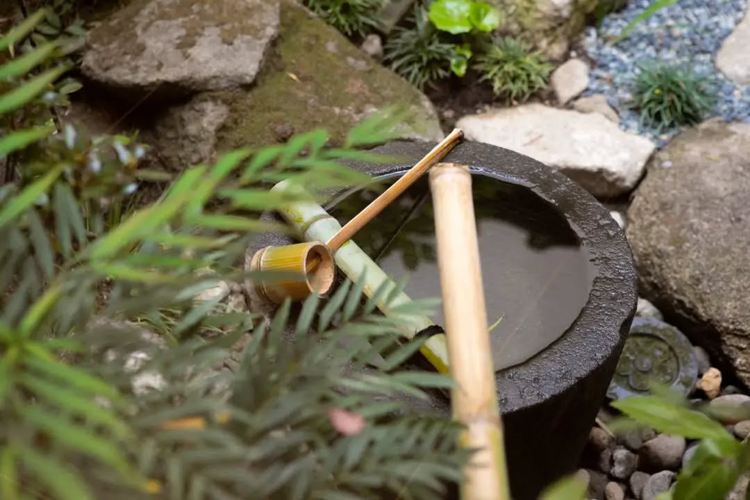 ＼✨️日常を忘れる、癒しの空間✨️／