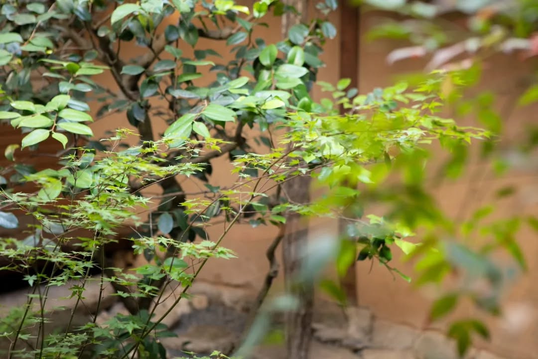 ＼ 洗練された空間✨️／