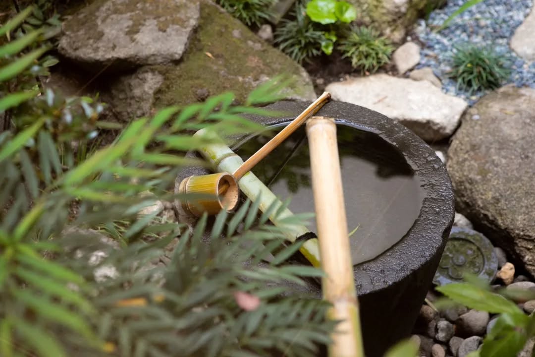 \✨️中庭を眺めながらほっとひと息✨️/